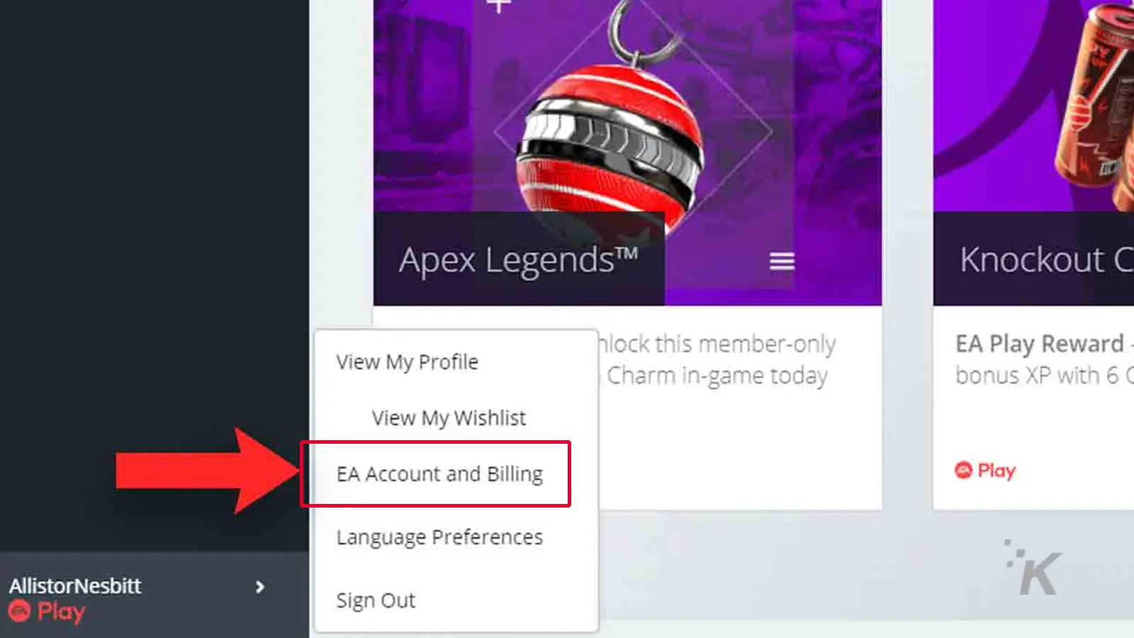 how to change your ea origin account name